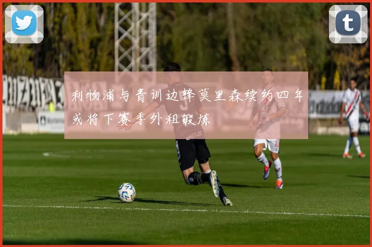 利物浦与青训边锋莫里森续约四年或将下赛季外租锻炼