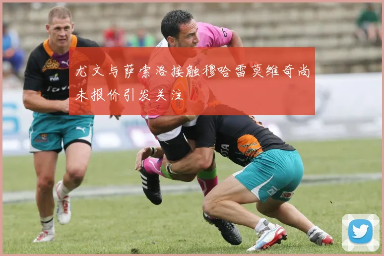 尤文与萨索洛接触穆哈雷莫维奇尚未报价引发关注